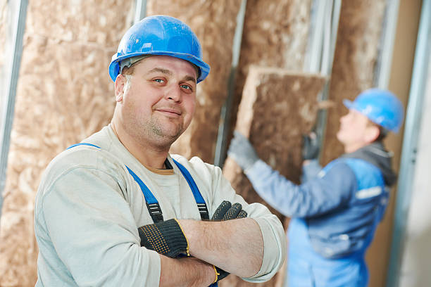 Best Residential Insulation in Lambertville, MI